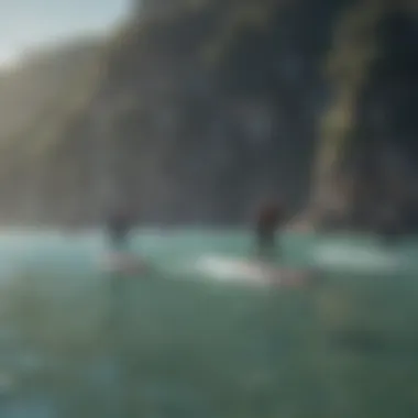 Community Sup Foiling Session A group of enthusiasts enjoying a sup foiling session in a scenic location