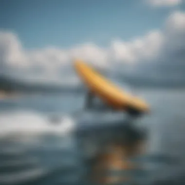 Different types of hydrofoils showcasing variety