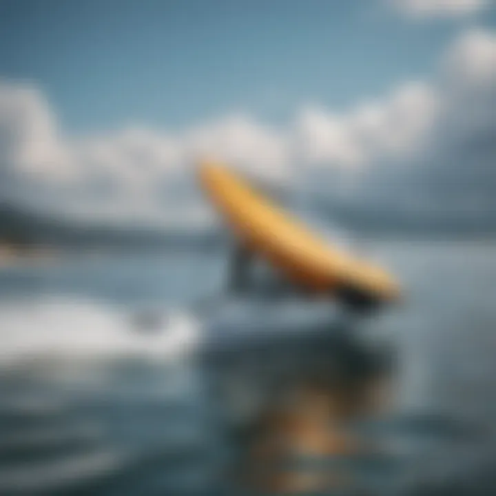 Different types of hydrofoils showcasing variety