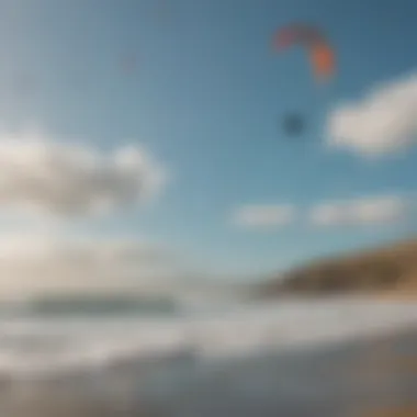 A scenic view of Bodega Beach with kites in the sky