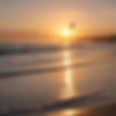 Sunset casting a golden glow on Bodega Beach