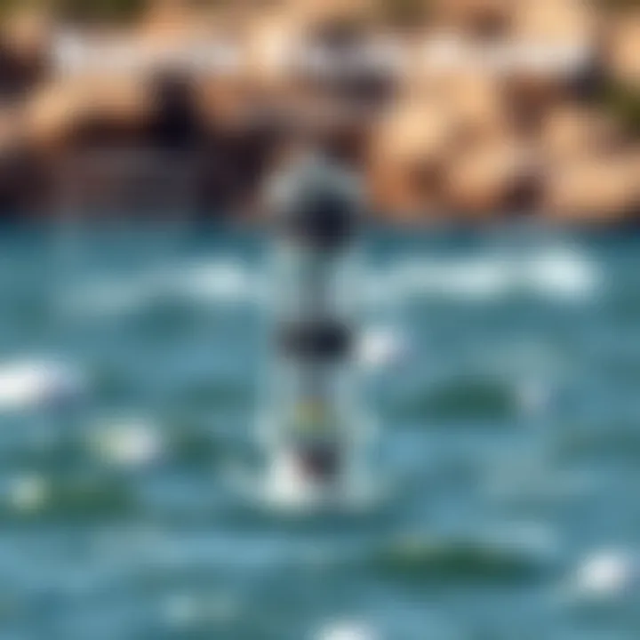 Diagram illustrating the Boston valve pump design