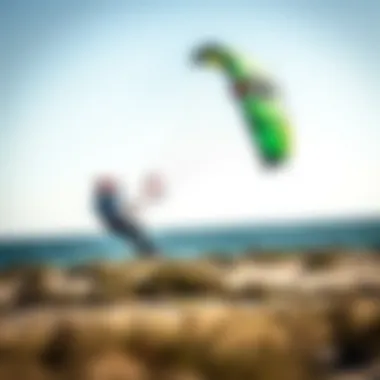 Understanding Budget for Trainer Kites Budget considerations for purchasing trainer kites