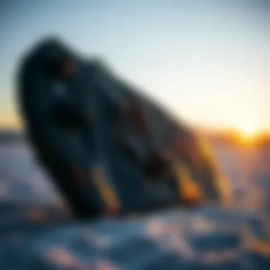 User Perspectives on Choosing the Right Wing Foil Board Bag User insights on wing foil board bags