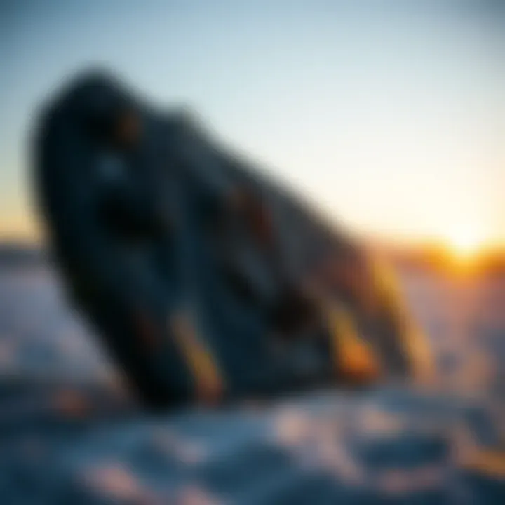 User Perspectives on Choosing the Right Wing Foil Board Bag User insights on wing foil board bags