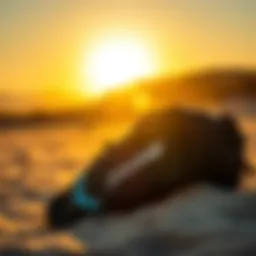 Stylish Dakine kiteboard bag showcasing its design