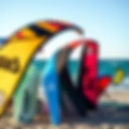 Diverse kitesurfing kites displayed on the beach