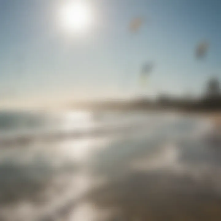 A group of kiteboarders enjoying a sunny day at the ocean