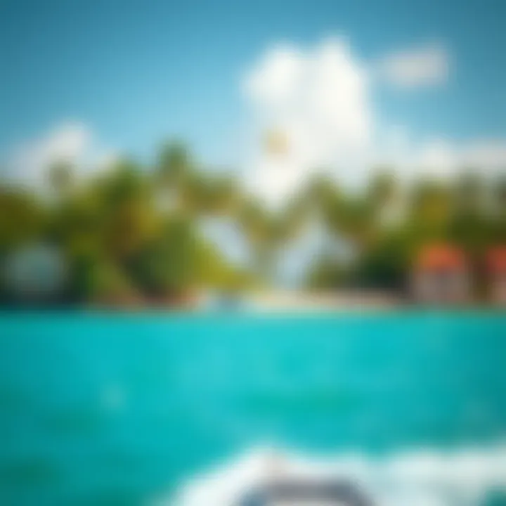 A scenic view of a popular kitesurfing spot in the Caribbean, surrounded by lush palm trees and turquoise waters