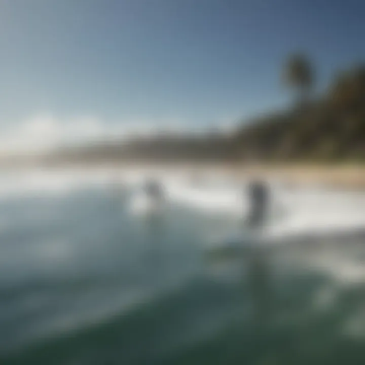 A group of enthusiasts gathered at a beach, discussing hydrofoil surfing techniques