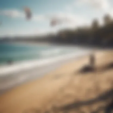 A group of kiteboarders enjoying a community event at the beach