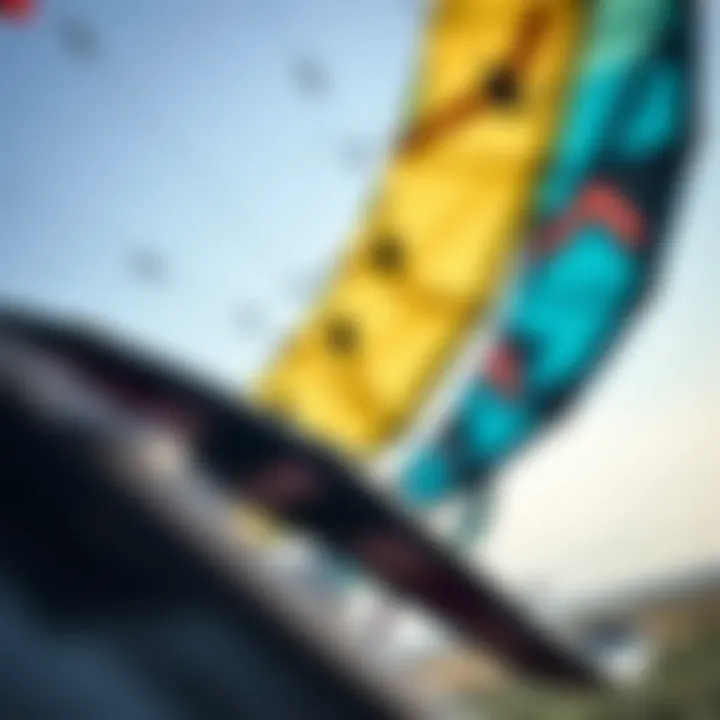 Close-up of various kite designs and their unique features