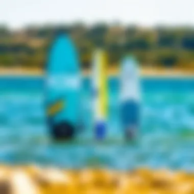 Design Comparisons of Various Foil Boards Side-by-side comparison of different foil board designs in a serene setting