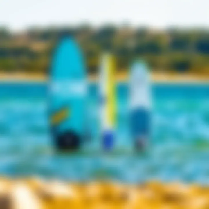 Design Comparisons of Various Foil Boards Side-by-side comparison of different foil board designs in a serene setting