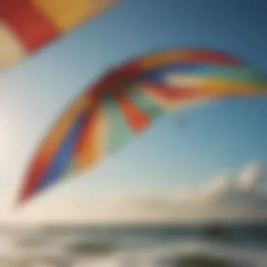 Diverse Designs of Kite Sails Comparison of different kite sail designs and their features
