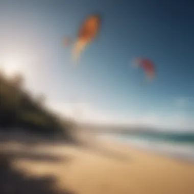 Kite Comparison: Duotone Evo 12M Comparison of Duotone Evo 12M with other kites