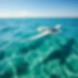 A sleek LKN efoil gliding effortlessly over crystal clear waters