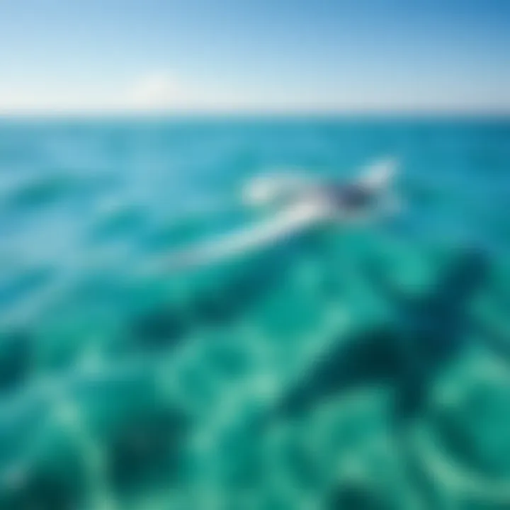 A sleek LKN efoil gliding effortlessly over crystal clear waters