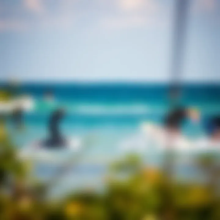 Best deals for Starboard SUPs online