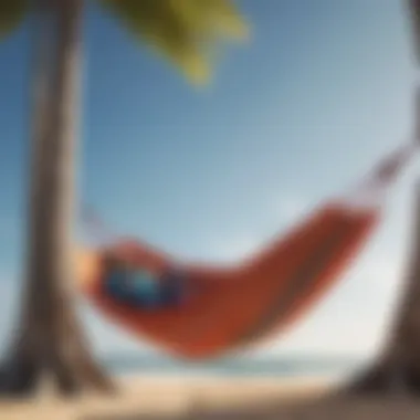 Wind Hammocks vs. Traditional Hammocks Comparison of wind hammocks and traditional hammocks side by side