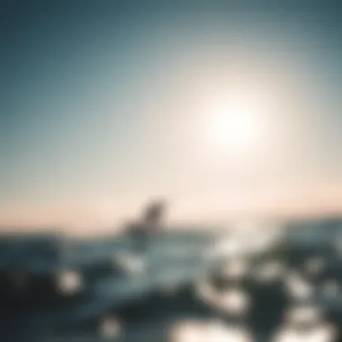 Ideal Conditions for Kiteboarding A serene kiteboarding environment showcasing the ideal conditions for practicing the North Carve technique.