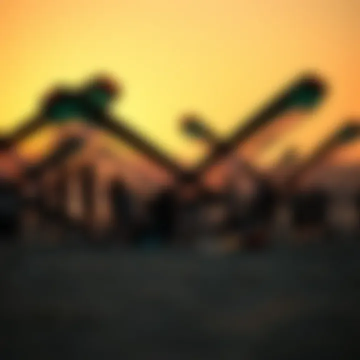 Wing Foiling Community at Sunset A vibrant community of wing foiling enthusiasts gathered at sunset