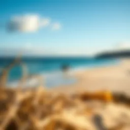 A serene beach setting ideal for wing foiling lessons