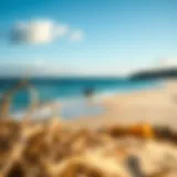 Perfect Beach Location for Wing Foiling A serene beach setting ideal for wing foiling lessons