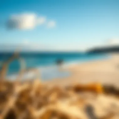 Perfect Beach Location for Wing Foiling A serene beach setting ideal for wing foiling lessons