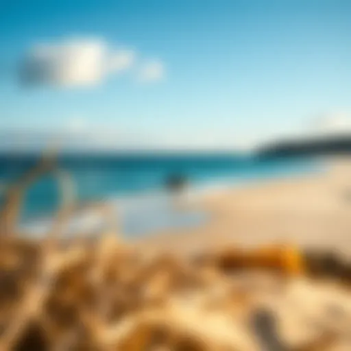 Perfect Beach Location for Wing Foiling A serene beach setting ideal for wing foiling lessons