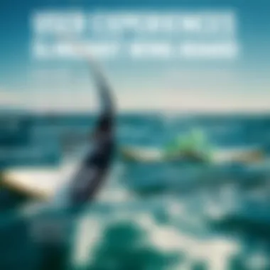 Community reviews and feedback displayed in a visually engaging format focusing on user experiences