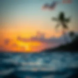 A serene view of Tigertail Beach at sunset