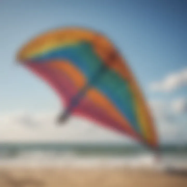 Close-up of a trainer kite showcasing its intricate design and features