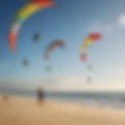 A vivid display of various trainer kites in action over a sandy beach