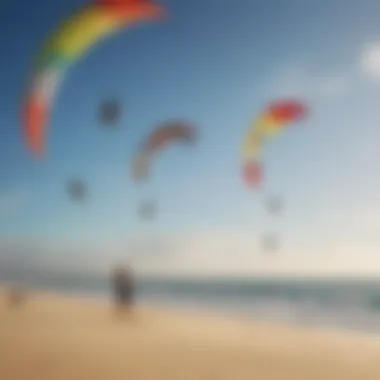 A vivid display of various trainer kites in action over a sandy beach