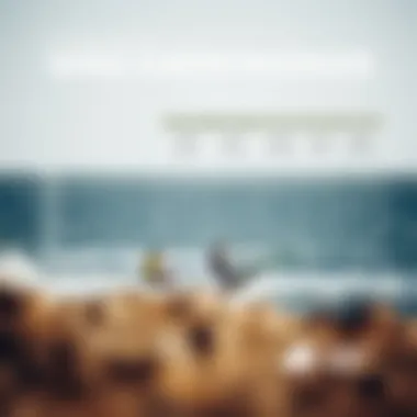 Comparative Insights on Wing Surfer Packages Comparison chart of different wing surfer packages