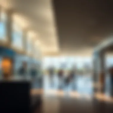 Inside Guadeloupe Airport's Terminal Interior shot of Guadeloupe Airport's terminal with modern amenities