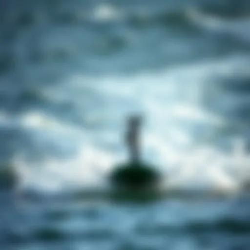 A close-up of a hydrofoil board cutting through water