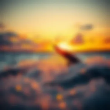 Sunset Hydro Efoiling Experience A picturesque sunset view over a hydro efoiling session