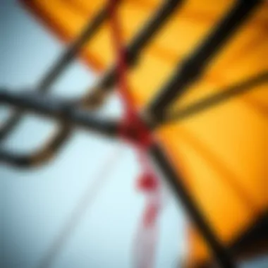 A selection of kite frames showing fabric attachment points