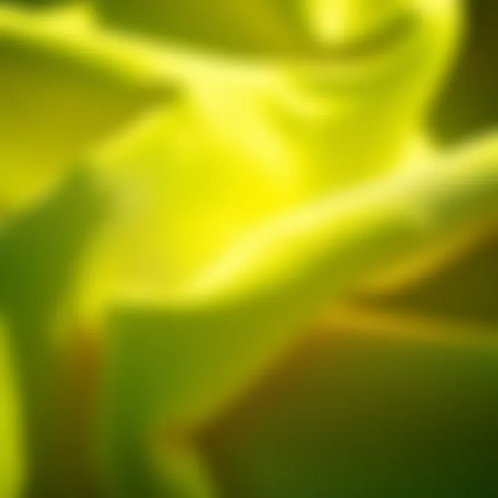 Close-up of high-quality ripstop nylon fabric used in kites