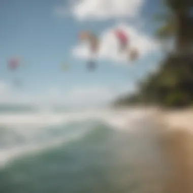 Vibrant kite surfers taking advantage of the winds at a Puerto Rican beach.