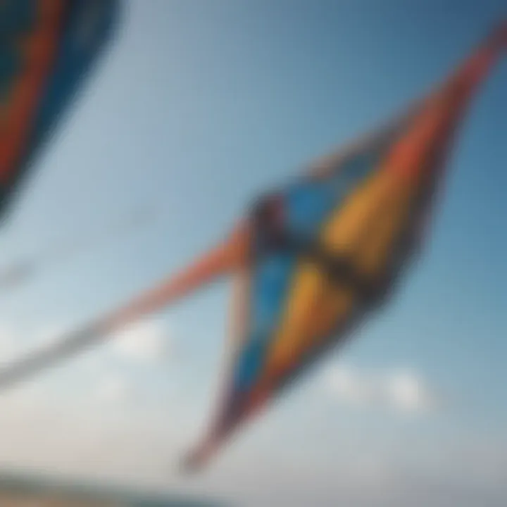 Close-up view of a high-performance kite with intricate design details