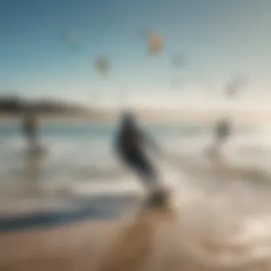 A group of kiteboarders enjoying a sunny day at the beach