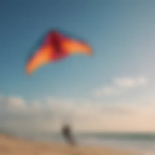 A colorful trainer kite soaring in the sky