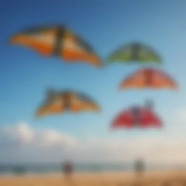 A selection of various trainer kites displayed