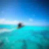 Kitesurfer gliding over turquoise waters of Aruba