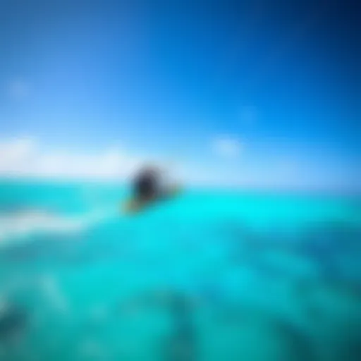 Kitesurfer gliding over turquoise waters of Aruba