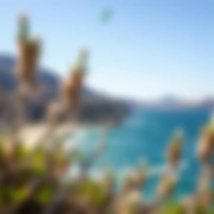 The stunning coastline of Paros with ideal wind conditions for kitesurfing