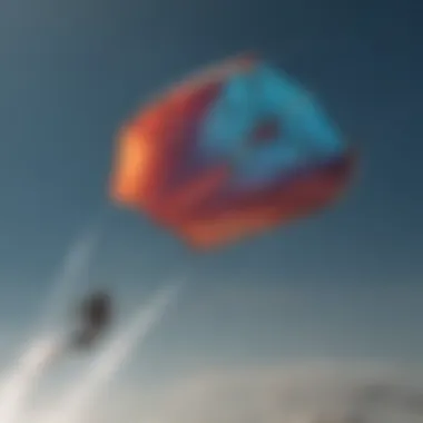 Close-up of Liquid Force Nebula kite demonstrating innovative design features